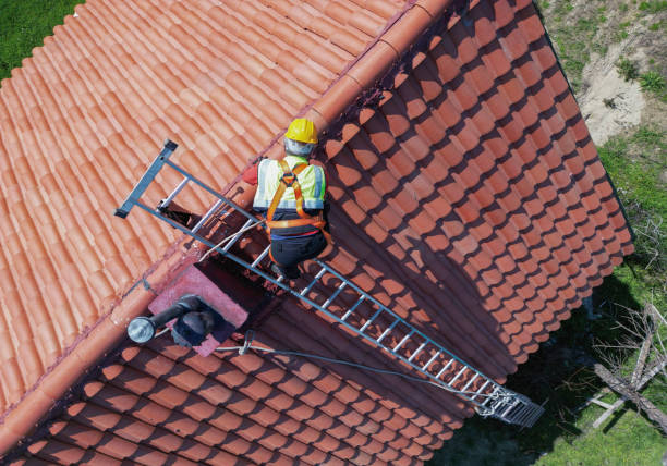 Best Roof Moss and Algae Removal  in Dundee, OR